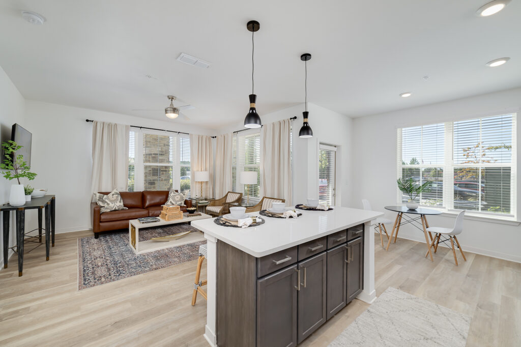 LUXURY APARTMENT HOMES INTERIOR MODEL