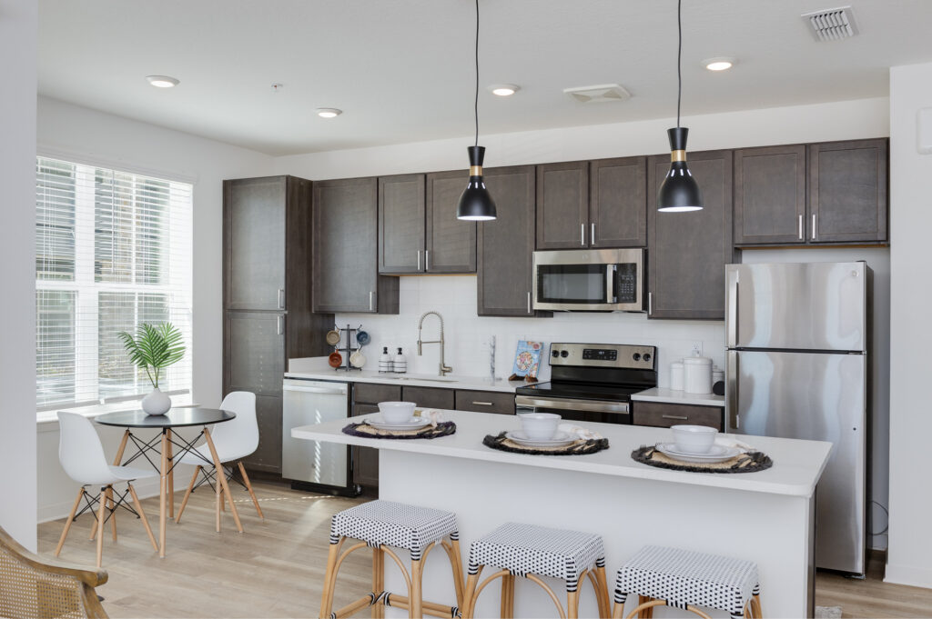 LUXURY APARTMENT HOMES INTERIOR MODEL